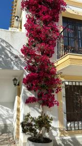 Mi Casa Vera Playa -bajo