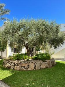 Mi Casa Vera Playa -bajo