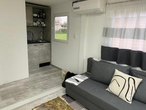 Danube Oasis Stevantown 2