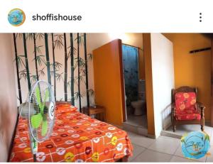 Shoffis House Backpackers