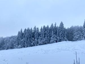 Appartements Le Chalet du Hohwald : photos des chambres