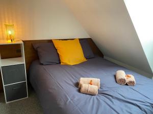Appartements Le Chalet du Hohwald : photos des chambres