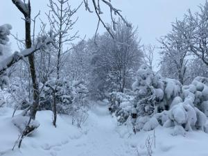 Appartements Le Chalet du Hohwald : photos des chambres