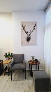 THOMAS LUXURY APARTMENT in the historical center of Ioannina