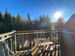 Le Chalet du Hohwald - 勒奥瓦尔德