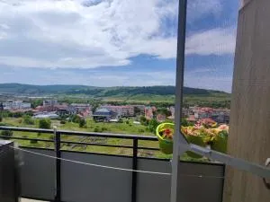 Apartament Lari - Nădăşelu