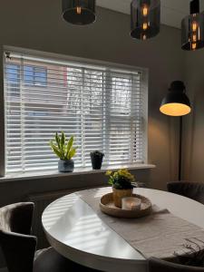 Bright one-bedroom apartment in Reykjavik