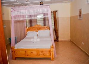 Affordable karura and friends