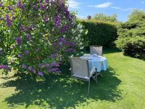 Modern 1 plans villa med jacuzzi och skön trädgård - Kattarp