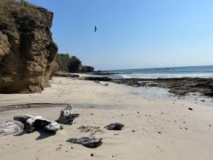 Departamento Sol y Mar Punta Mita, Beach Front