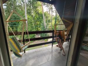 Dom nad Miedwiem, Morzyczyn