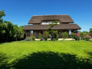 Pensiunea Andra - Sarichioi