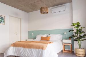 Belgrano, Paz & Encanto