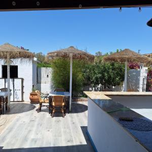 The Dragonfly Retreat