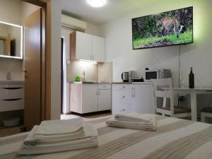 Studio Apartment in Nin with Sea View, Terrace, Air Conditioning, Wi-Fi (4868-1)