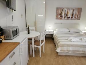 Studio Apartment in Nin with Sea View, Terrace, Air Conditioning, Wi-Fi (4868-1)