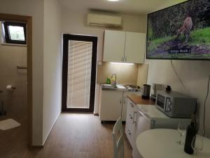 Studio Apartment in Nin with Sea View, Terrace, Air Conditioning, Wi-Fi (4868-1) 