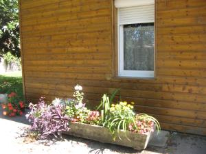 Maisons de vacances La Petite Mongesse : photos des chambres