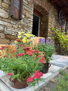 Prázdninový dom Janka