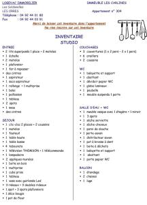 Résidence Les Carlines - Studio équipé pour 4 personnes vue pistes MAE-0214