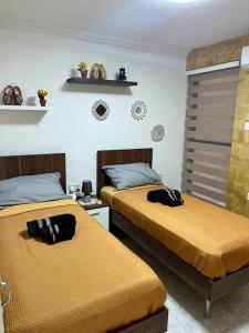 Daffodil Cosy Retreat