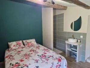 Appartement T2 37 m2 entièrement rénové - La Rouvière