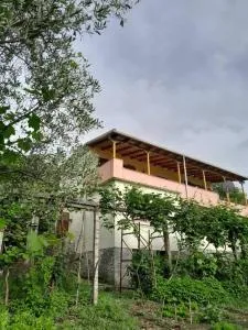 Sara & Mateo Guesthouse - Libohovë
