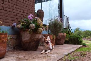 Hermosa cabaña de descanso en Tlapalpa