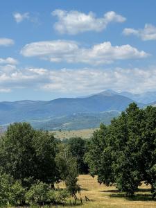 BLIM Restaurant Cazare Sound of Nature