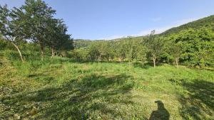 Seosko domaćinstvo Preslo