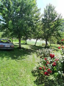 Seosko domaćinstvo Preslo