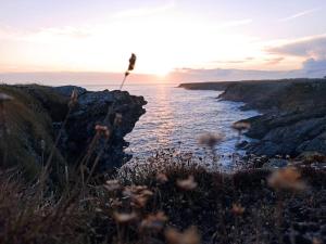 Maisons de vacances Maison chaleureuse et familiale idealement situee : photos des chambres