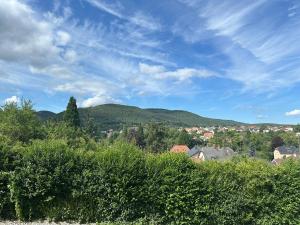 Appartements Horizons du Haut : photos des chambres
