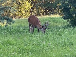 Apartmán EMA Demänovská Dolina -Pavčiná Lehota
