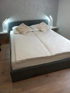 Apartament-mieszkanie dwupokojowe, centrum