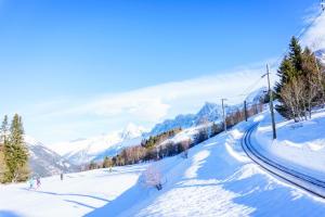 Appartements Residence du Parc - Happy Rentals : photos des chambres