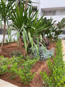 Appart ensoleillé avec 2 balcons vu piscine