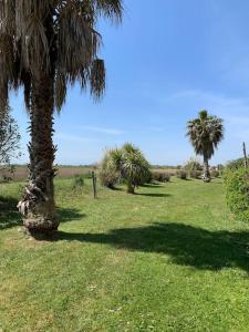 Appartements Bel appartement T3 avec jardin Malibu Village : photos des chambres