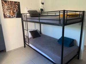 Appartements Bel appartement T3 avec jardin Malibu Village : photos des chambres