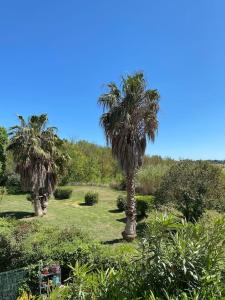 Appartements Bel appartement T3 avec jardin Malibu Village : photos des chambres