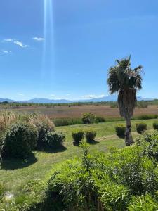 Appartements Bel appartement T3 avec jardin Malibu Village : photos des chambres