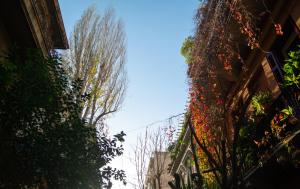 Easy Stay flat in the most Vibrant neigborhood of Athens!