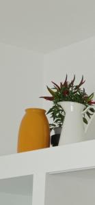 Civico92 - Mola di Bari