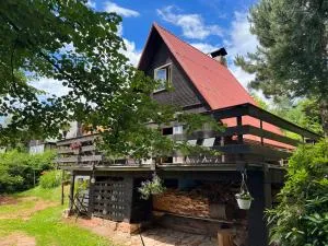 Chata u rybníka - Vlcice