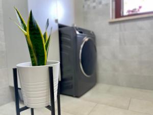 GreenChill House - West Rome