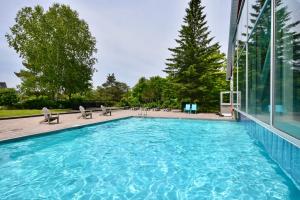 Cozy king bed Suite - pullout couch - Pool on grounds