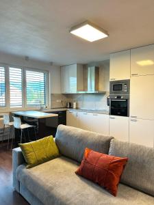 Comfy Stay Apartment