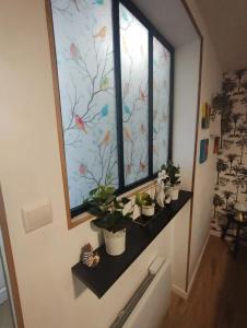 Appartements Studio confortable a Noyers-sur-Cher - 30 m² - Parking : photos des chambres