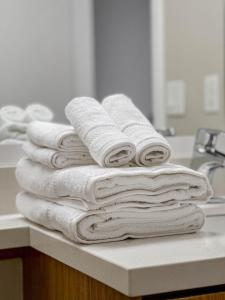 Cozy 1BR apt in Santa Monica with FREE Parking