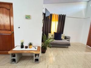 Aparta Studio Jardín Alado